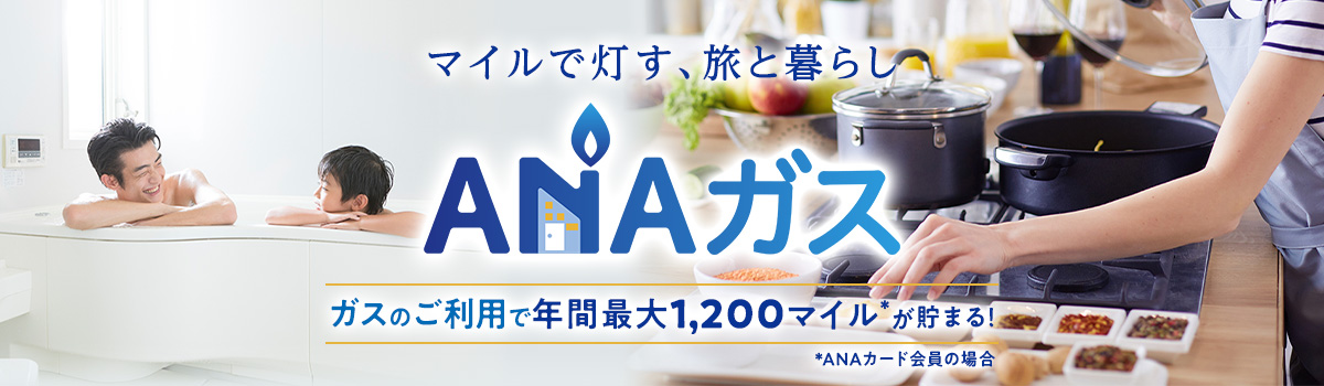 ANAガスの紹介ページです