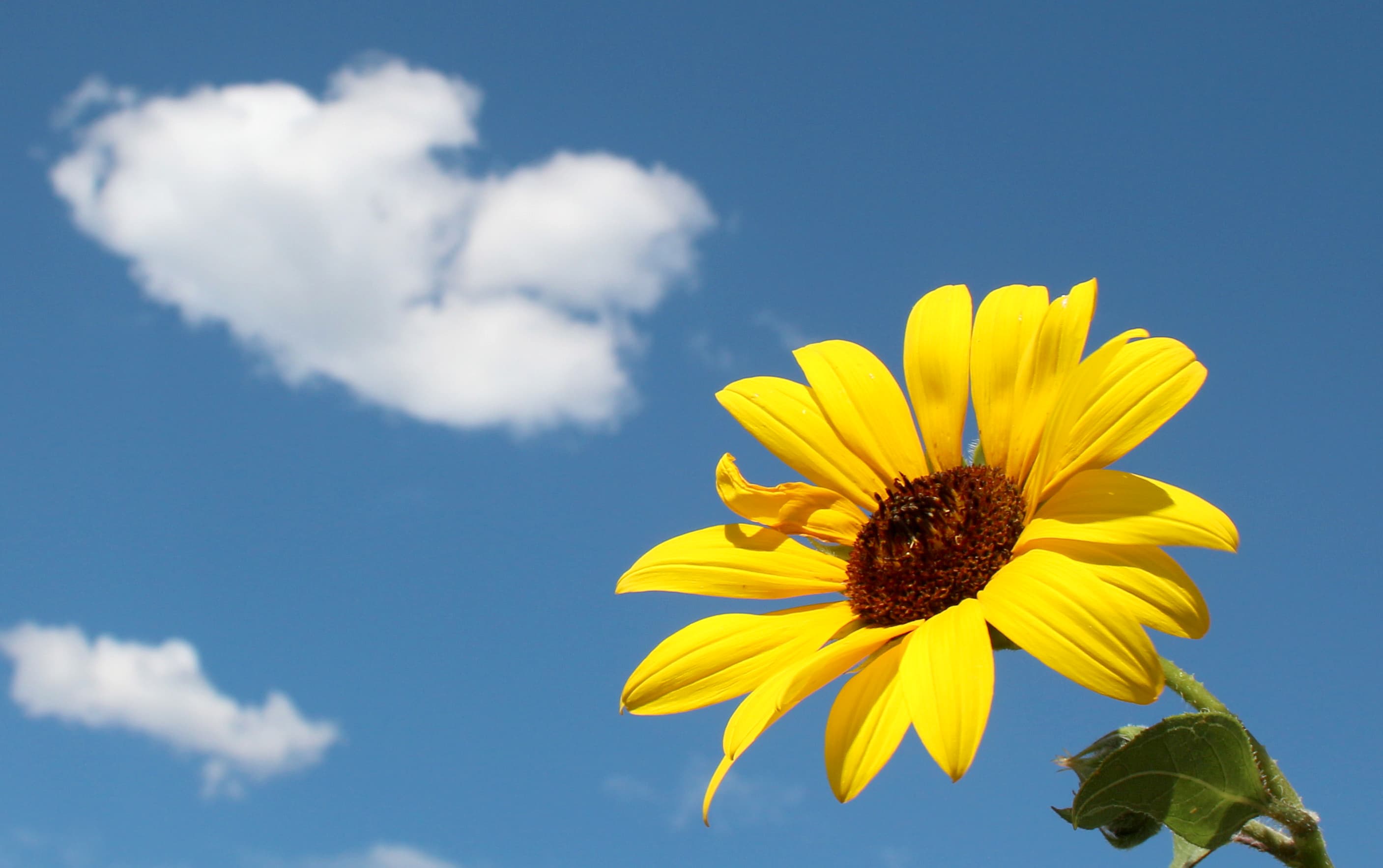 シナネンひまわりサービスセンター 外観イメージ