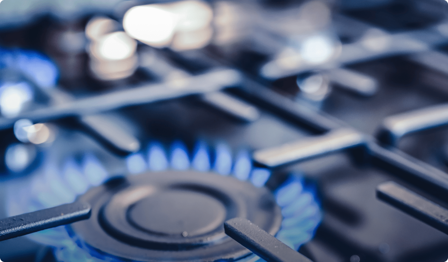 わたしたちの挑戦と進化