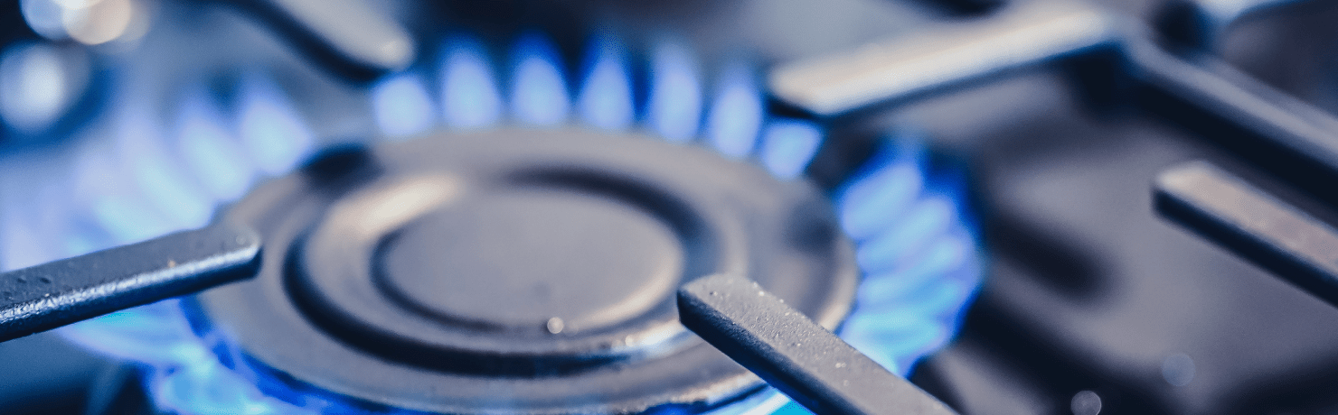 わたしたちの挑戦と進化