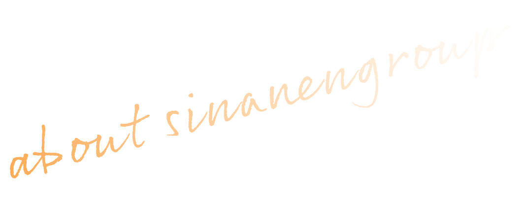 about sinanengroup