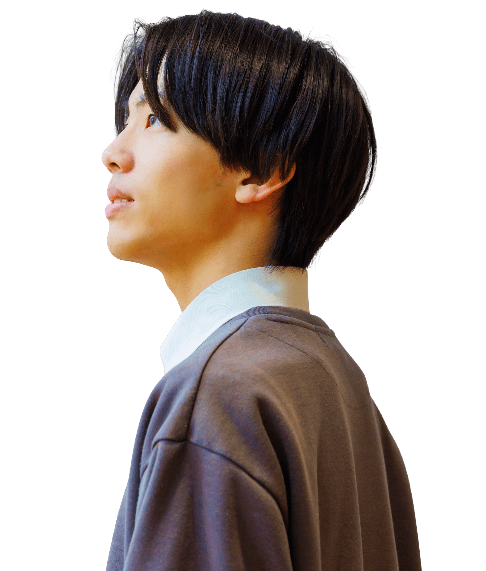 イメージ:メインビジュアル