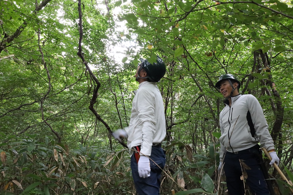 森を整えたら動物が帰ってきた！「Afanシナネンあかりの森」への訪問者をご紹介